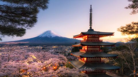 Chureito Pagoda and Mt. Fuji with Cherry blossom at sunset, Fujiyoshida, Japan