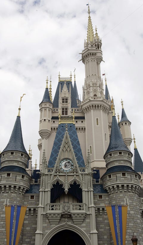 cinderella's castle