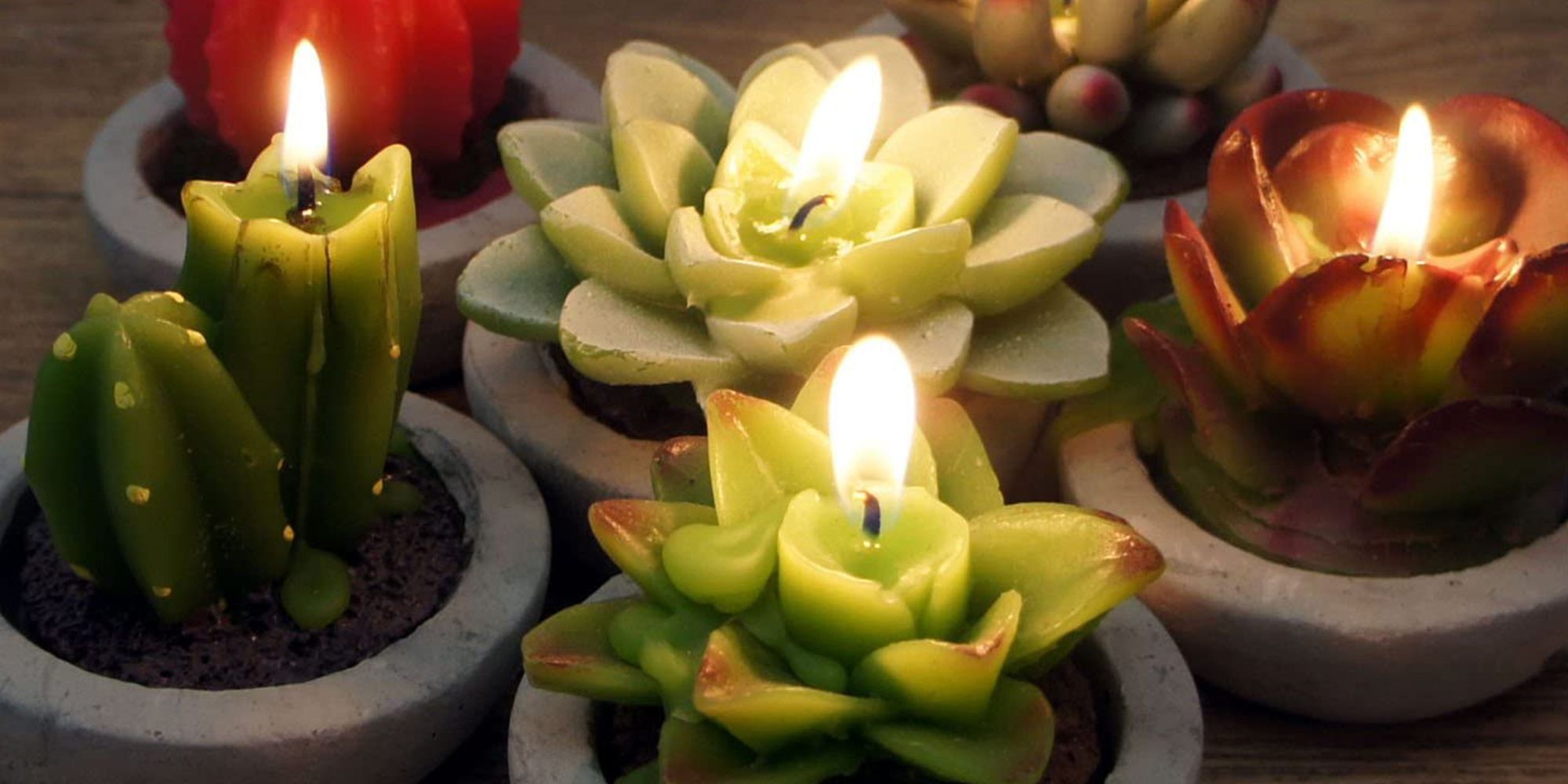 Succulent candles