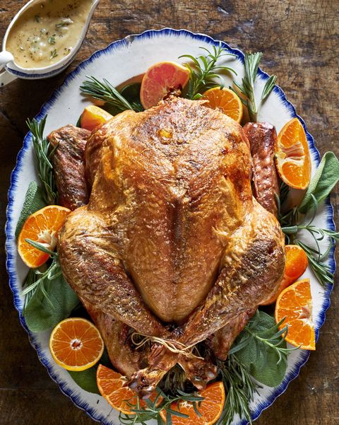 thanksgiving turkey surrounded by orange wedges