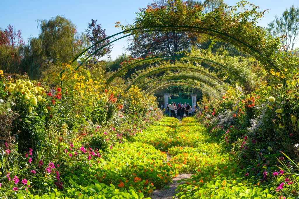 These Houses Have Pretty Gardens