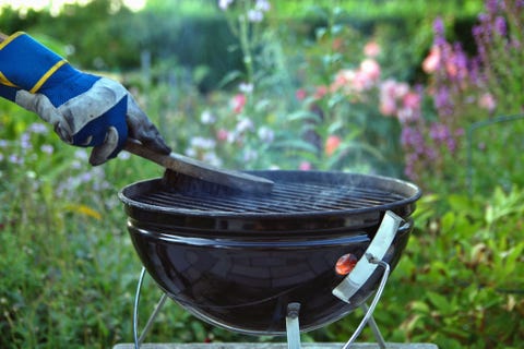 cleaning a grill male hand with gloves cleans round grill with stiff brush preparation of a grill before cooking