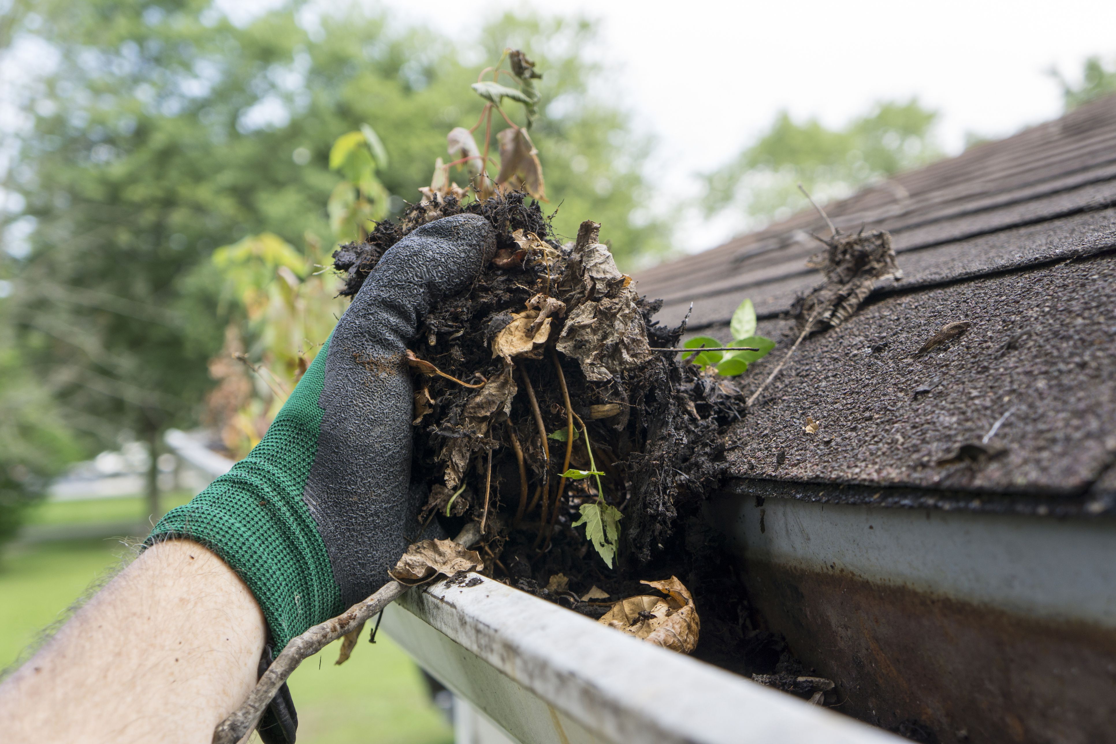 Gutter Cleaning Tools  Rain Gutter Cleaning