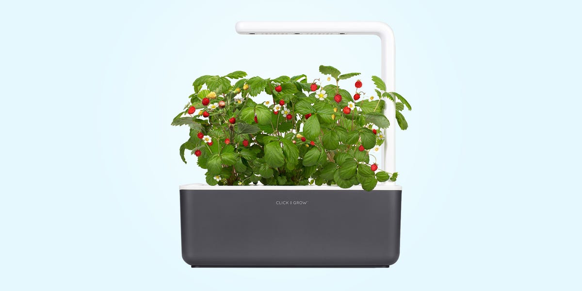 Shop Click & Grow Indoor Smart Garden 3 at 46% Off at Nordstrom