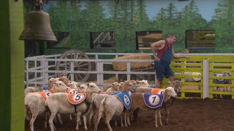 Big Brother Recap Fans Are Furious Over That Sheep Veto Comp