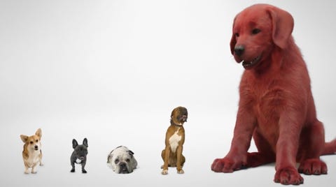 Clifford the Big Red Dog is back in first look at new movie