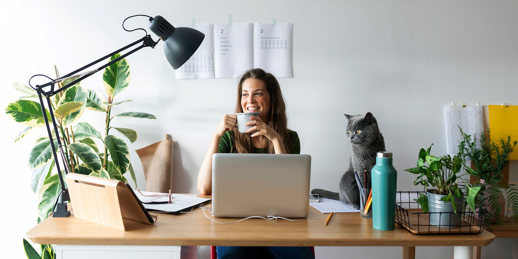 Bright Basics Wireless Desk Lamp for Home Office 