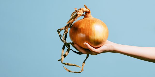 close up image of an unrecognizable young girl's hand holding a giant onion on blue background raw sweet white onion