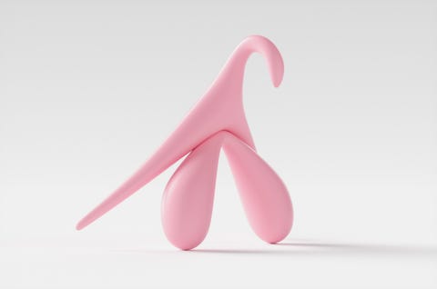 3d illustration of a clitoris