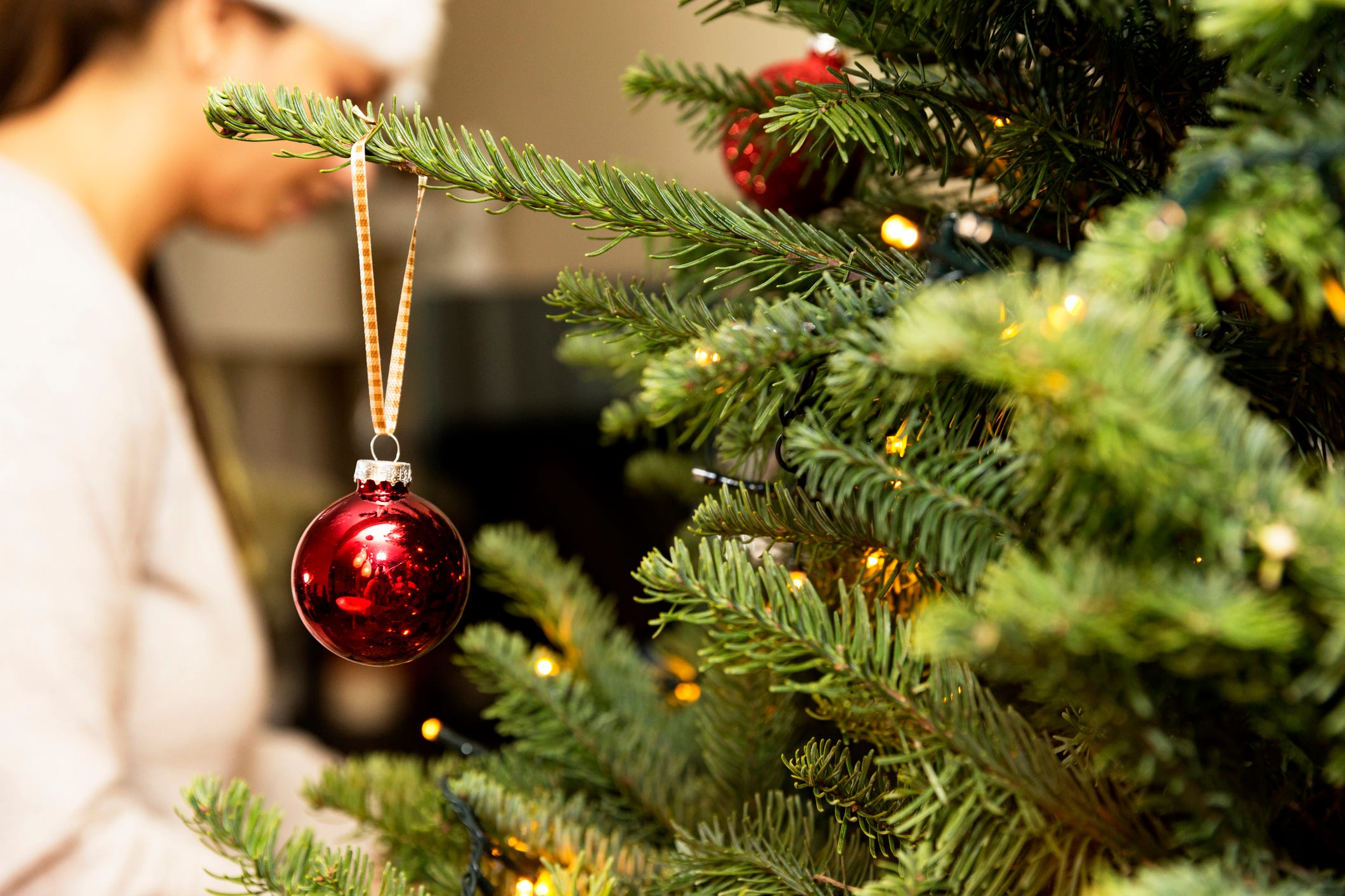 The Great British Christmas Tree Rush Will Peak This Weekend