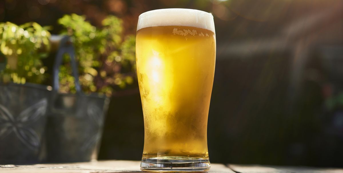 8 Top Notch Light Beers to Buy and Enjoy 2021 - Best Light Beers from Craft Breweries