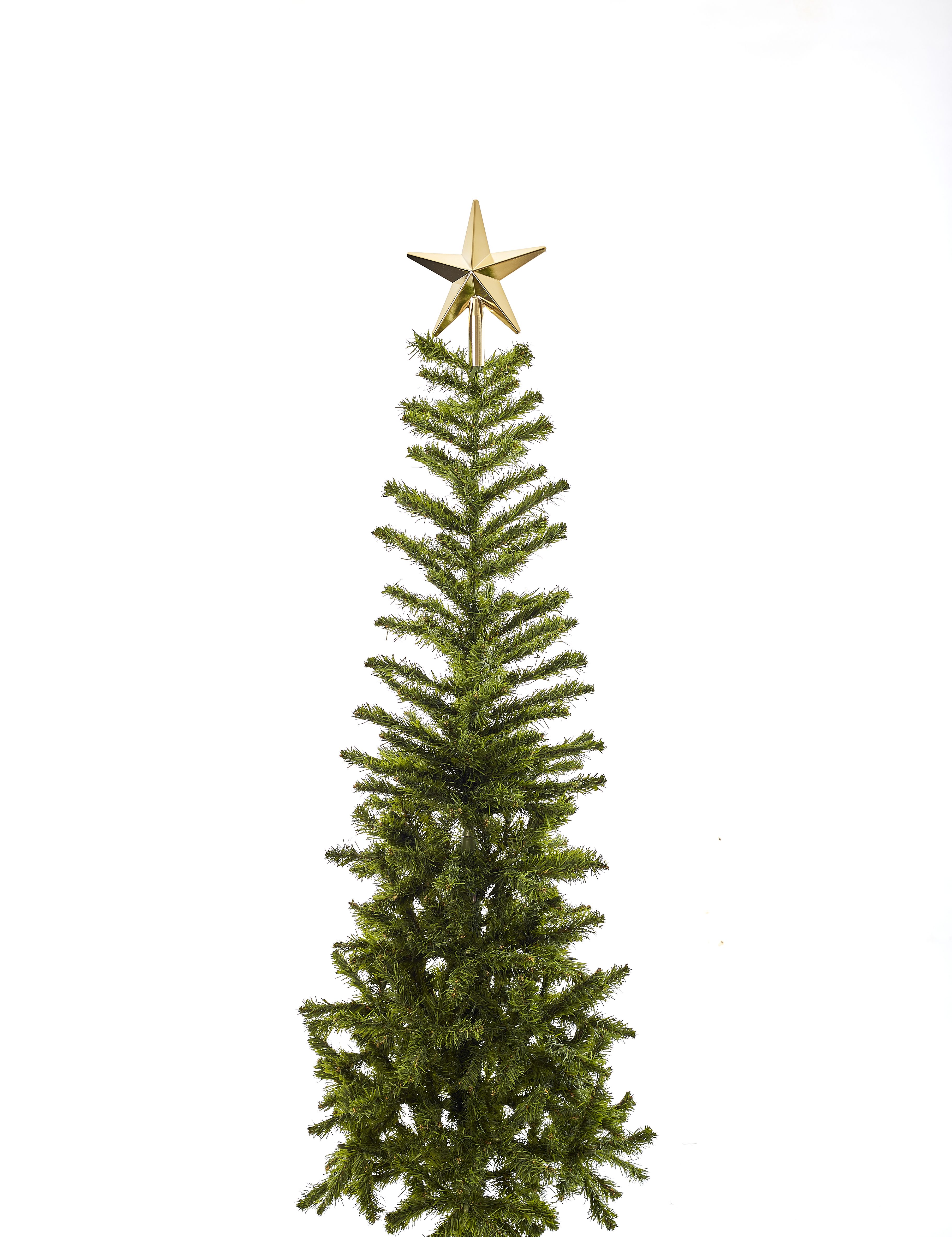 ホリデーシーズンに美しく咲く15のクリスマスプラント Elle Decor エル デコ ホリデーシーズンに美しく咲く15のクリスマスプラント Elle Decor エル デコ