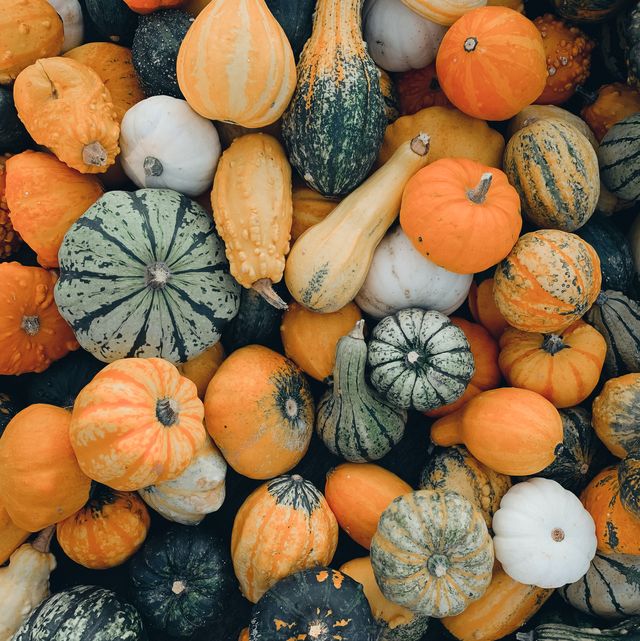 5 Clever Ways to Use Leftover Pumpkin in The Garden