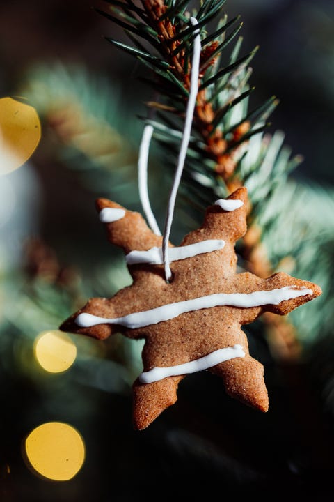 cookie on tree