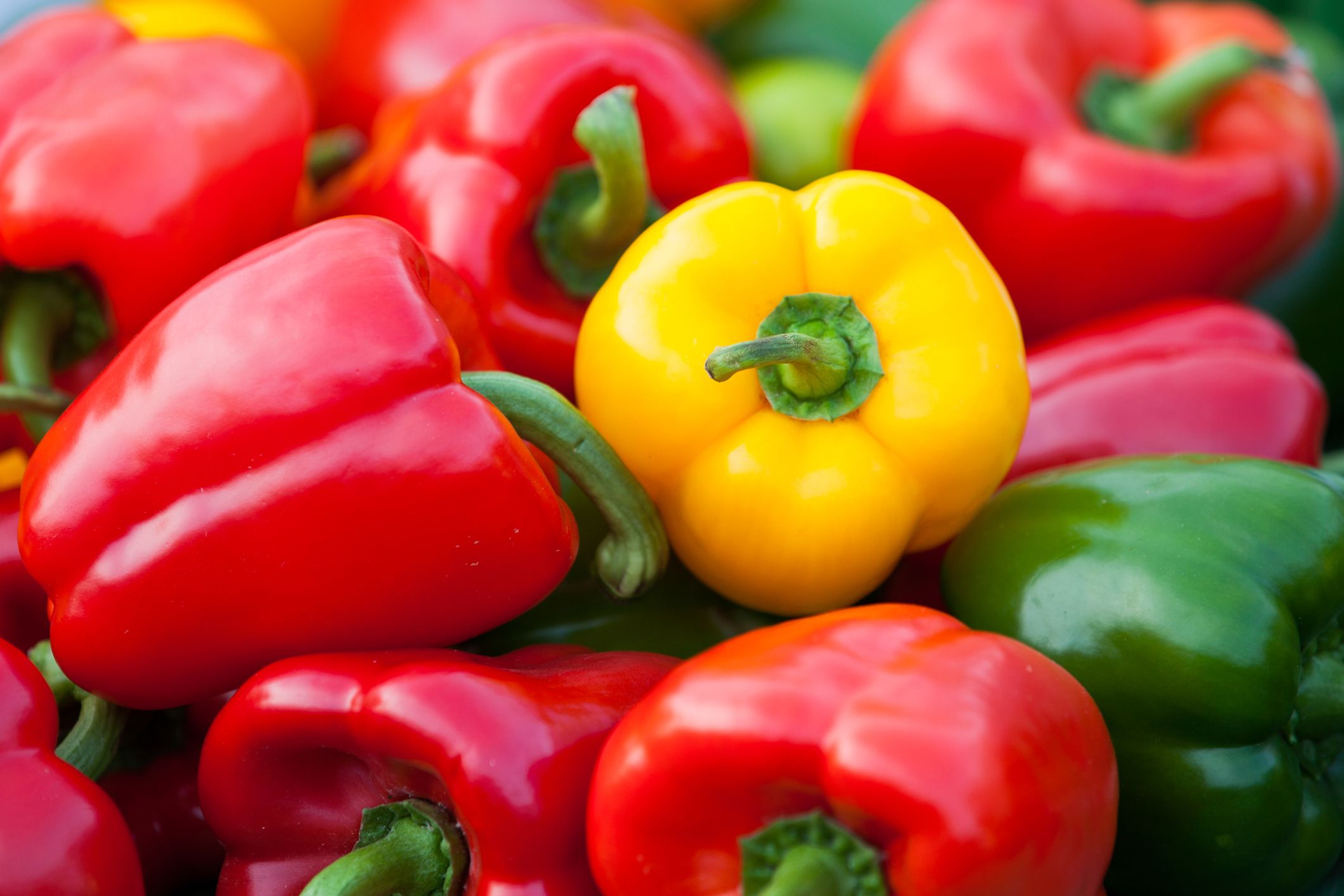 types of bell peppers