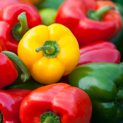 Bell Peppers - Types of Peppers