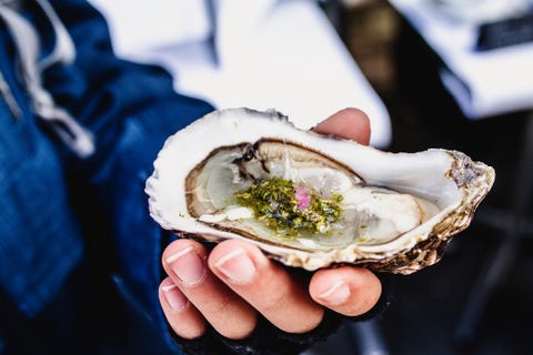 foods high in iron - Oysters