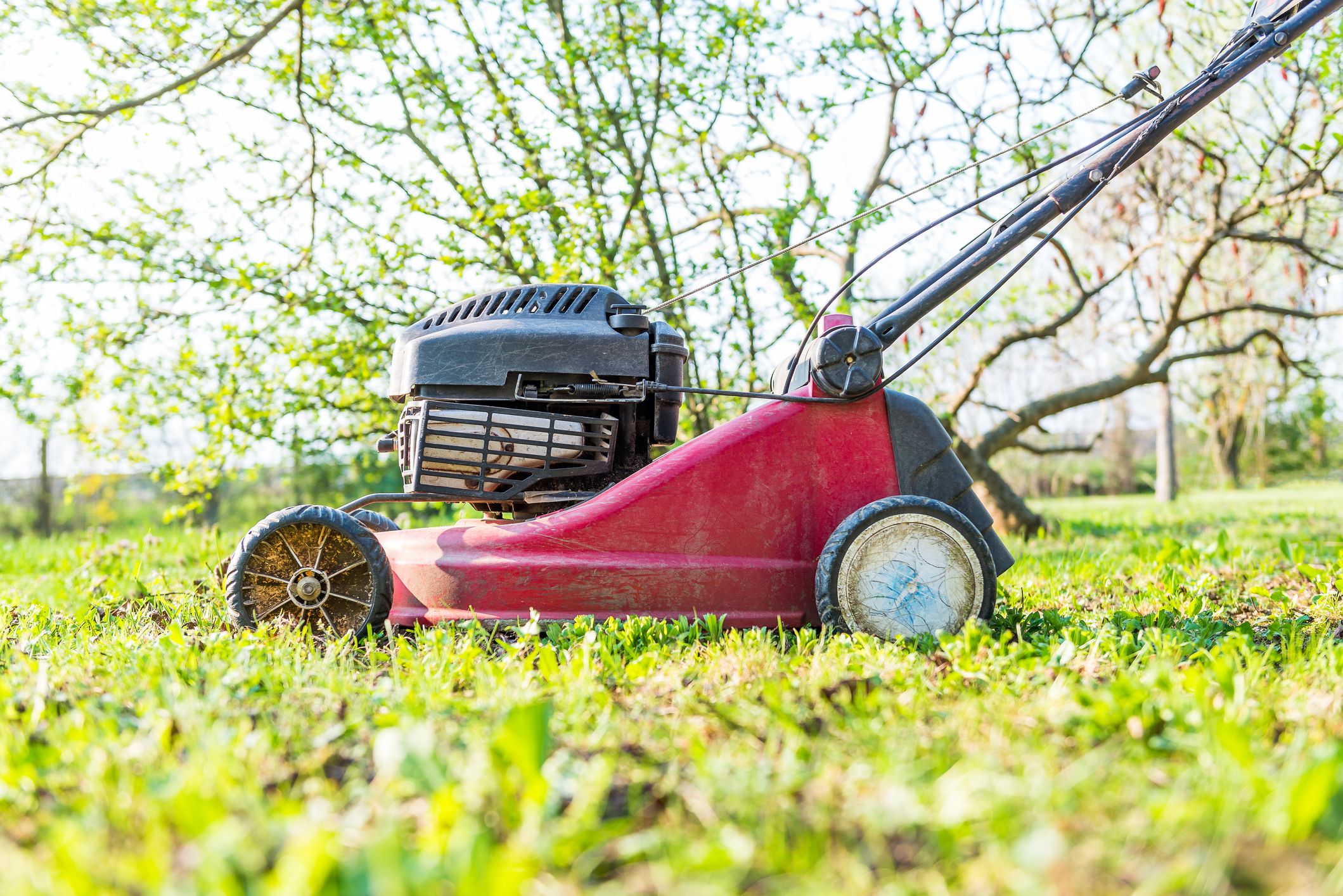 electric lawn mower blade hard to turn by hand