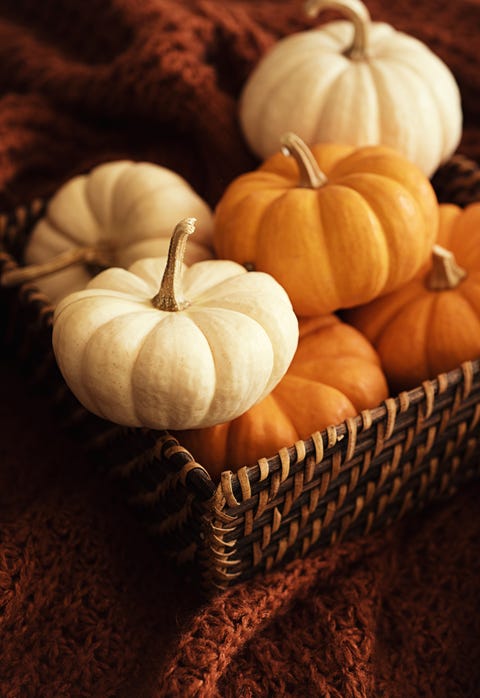 close up of mini pumpkins in a basket