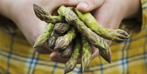 Close up of person holding a bunch of green asparagus.
