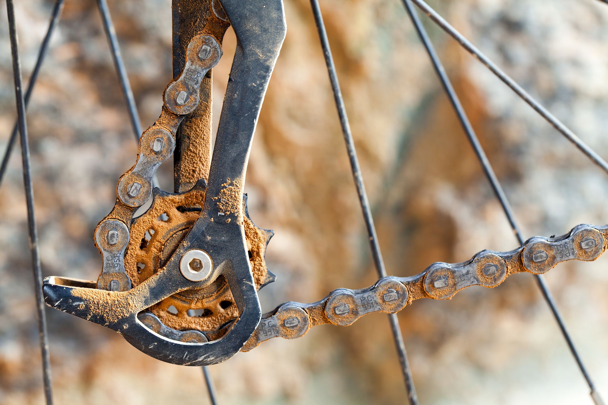 best road bike tires for rain