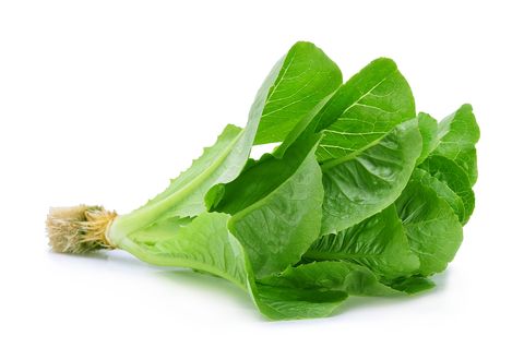 Close-Up Of Spinach Against White Background