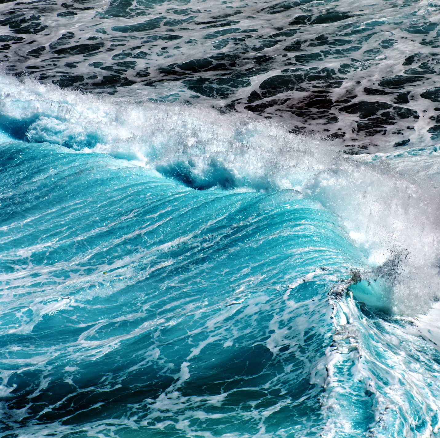 The Engine That Drives Our Oceans Is Slowing—And That Could End Life as We Know It