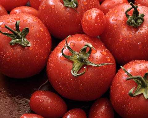 Close-Up Of Wet Ripe Tomatoes