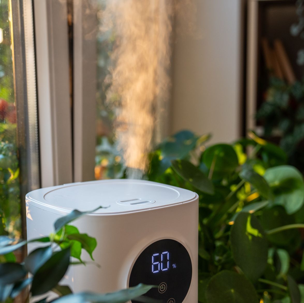 Getting Sick Again? Your Low Indoor Humidity May Be to Blame