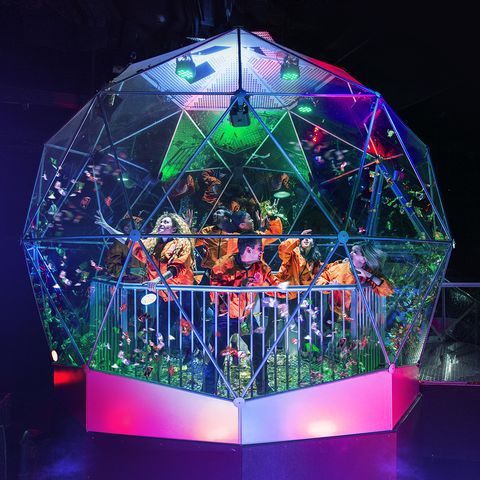 Crystal maze live experience