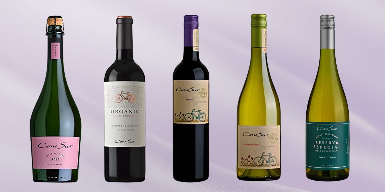 2022年最新チリのコノスルワインおすすめ14選 高品質＆コスパ抜群で初心者も安心！｜ ELLE gourmet［エル・グルメ］