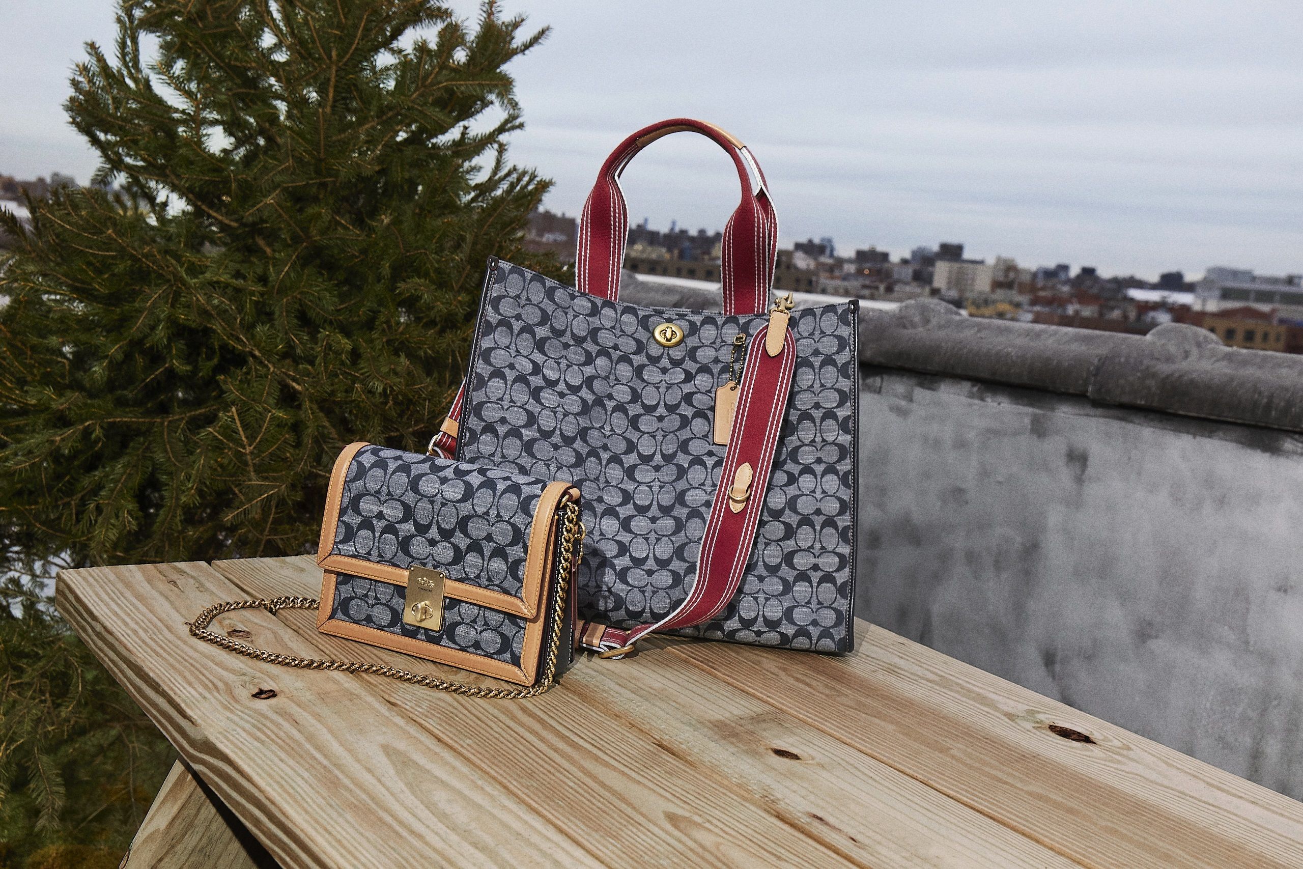 coach chambray bag