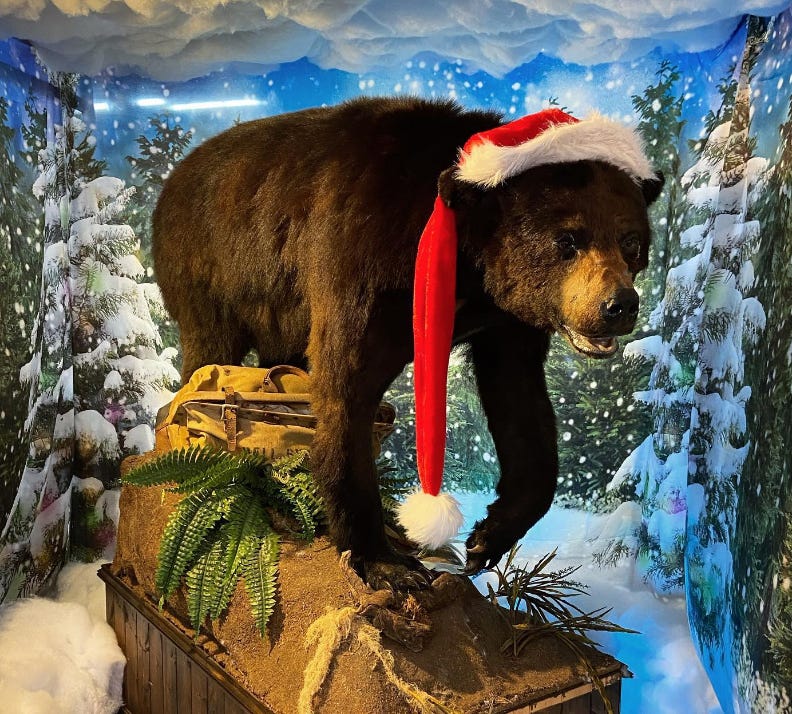 ‘Vicious Bear (Cocaine Bear)’: The true story that inspired (pun intended) the film
