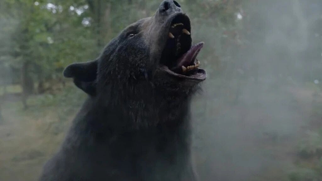 ‘Vicious Bear (Cocaine Bear)’: Trailer, release date, cast…