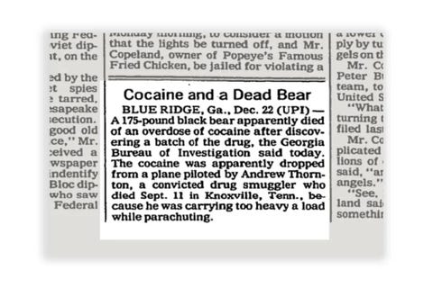 cocaine bear news