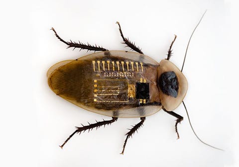 these artificial nerves could allow prosthetic limbs to feel