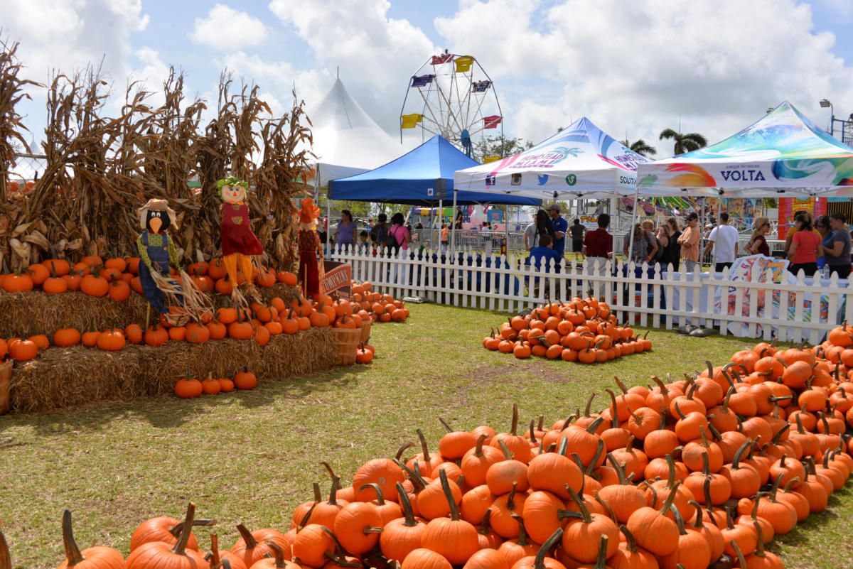 22 Best Fall Harvest Festivals Across America 2020