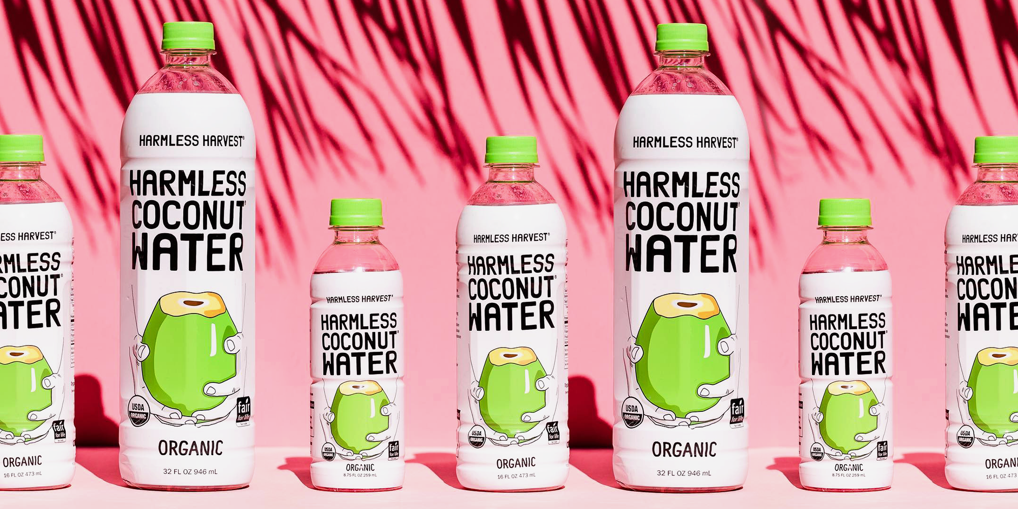 8 Best Coconut Water Brands of 2020 