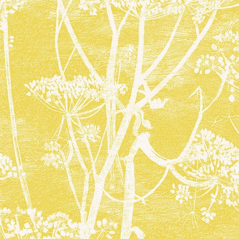 'Cow Parsley' wallpaper in lemon yellow, Cole & Son 'Cow Parsley' wallpaper in lemon yellow, Cole & Son