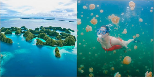 帛琉泡泡旅遊預備 水母湖 大斷層 牛奶湖 德國水道 夢幻景點實在太想去