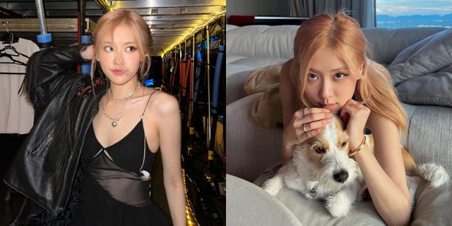 【明星幕後】blackpink rosé 的16件事！專輯打破金氏紀錄、出身法律世家、理想型是孔劉