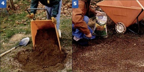 diy stump grind