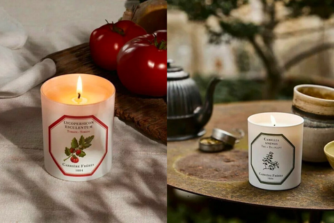 5個天然環保香氛蠟燭品牌推薦！自然香氣打造居家療癒感，復刻北歐桑拿、古老森林氣息