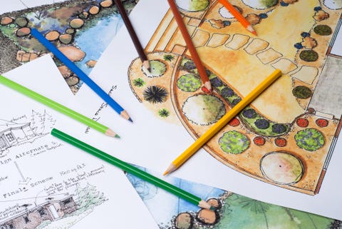 Garden sketch/drawing Garden sketch/drawing