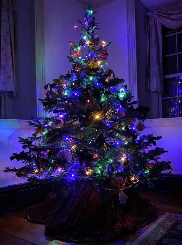 christmas tree with colored led lights