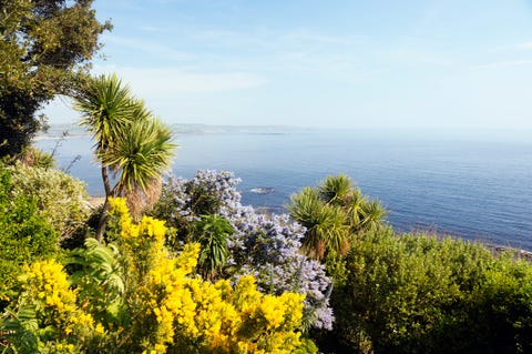 Colorful Garden above the Sea