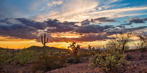 Sonoran Desert - Phoenix, Arizona
