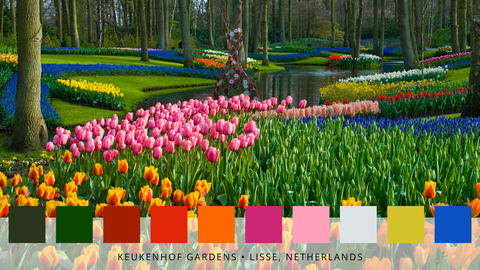 colour palettes of the world’s most famous gardens