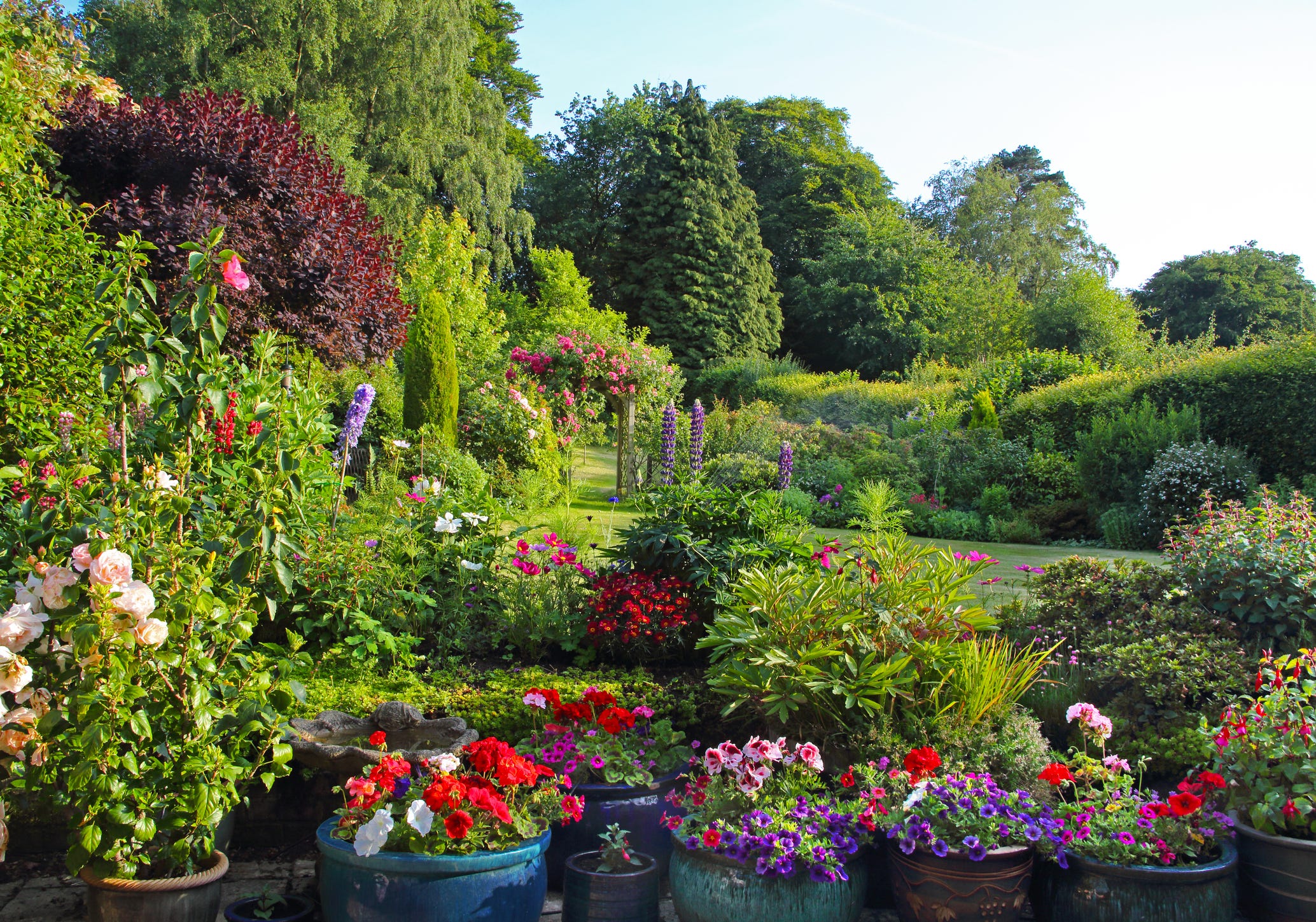 italian country garden