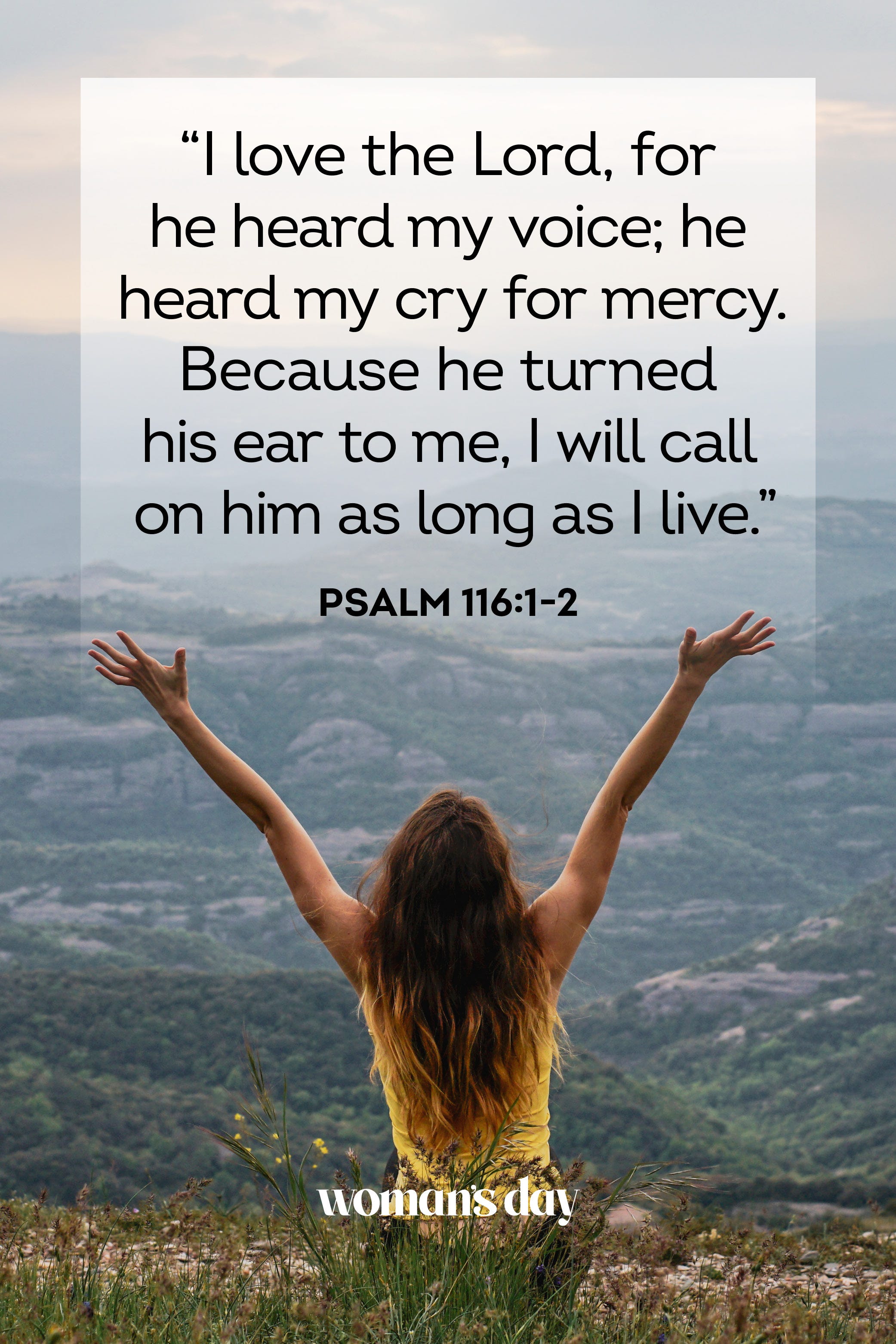 Psalm 116 Catholic Bible RobertNavya